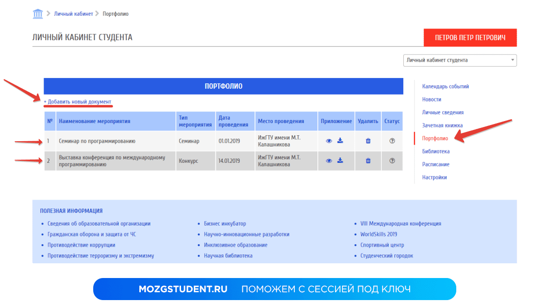 Портфолио
